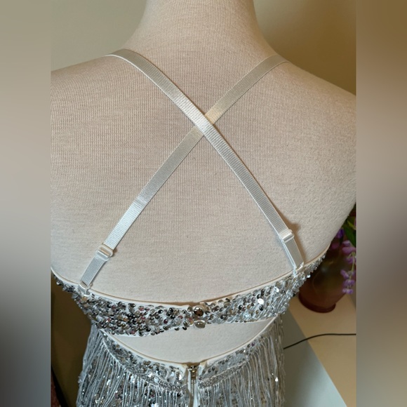 Silver sequin fringe dress! - Picture 12 of 17